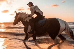 カルタヘナ：ビーチでの乗馬