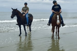 カルタヘナ：ビーチでの乗馬