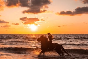 Картахена: верховая езда по пляжу