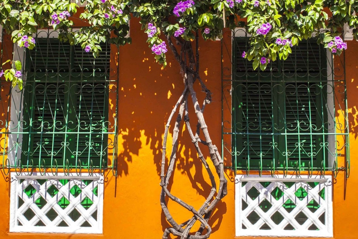 Cartagena Instagram Tour: Scenic and Trendy Shots