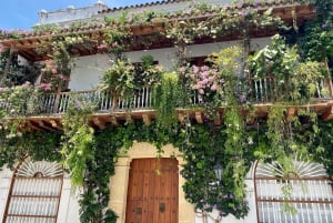 Cartagena: Instagrammable History Tour