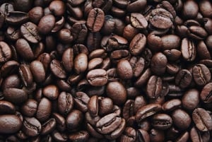 Cartagena: Intimate Premium Coffee Tasting Experience