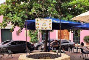 Cartagena: Intimate Premium Coffee Tasting Experience