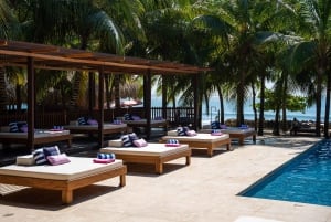 Cartagena: Island Day Trip to Atolón Beach Club with Lunch