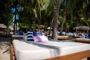 カルタヘナ発：アトロンビーチクラブへの日帰りツアー（ランチ付き）