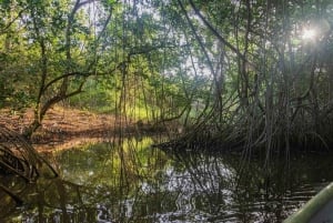 Cartagena: tour in canoa con birdwatching, trasferimenti e snack