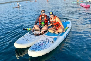 Cartagena: Learn in a collective paddle course