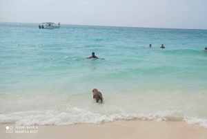 Cartagena: LUMINOUS PLANKTON, Playa Blanca Barù og lunsj