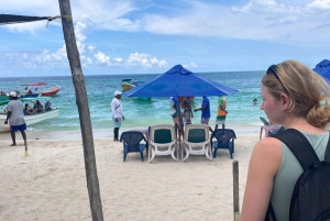 Cartagena: LUMINOUS PLANKTON, Playa Blanca Barù og lunsj