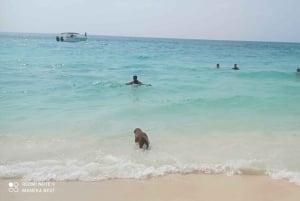 Картахена: СВЕТЯЩИЙСЯ ПЛАНКТОН, Плайя-Бланка-Бару и обед