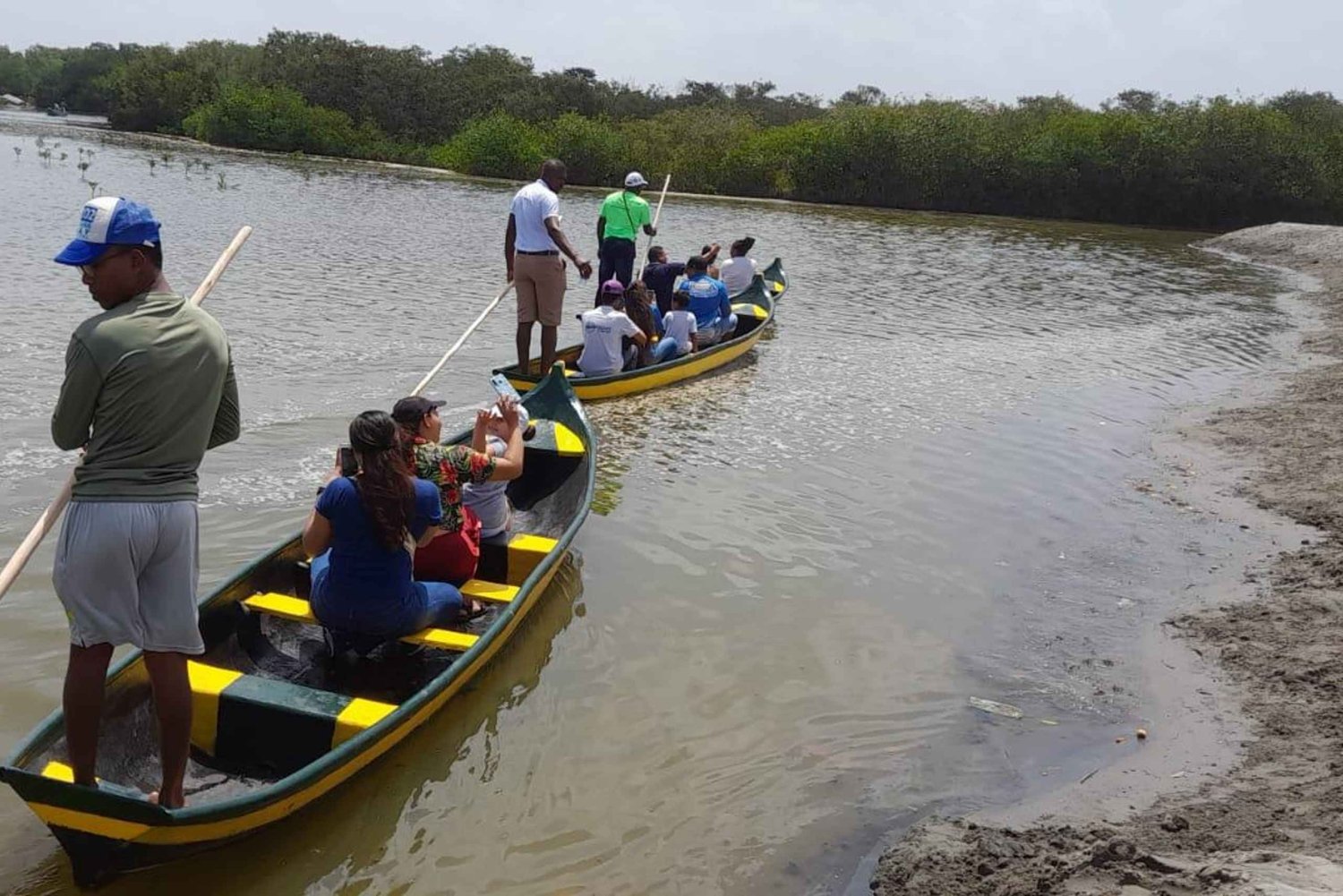 Cartagena: Opplevelse i mangroveskogen