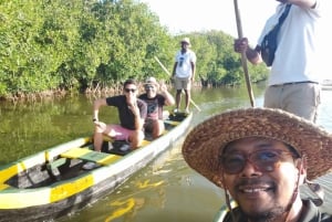 カルタヘナ：マングローブの森体験