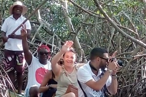 カルタヘナ：マングローブの森体験