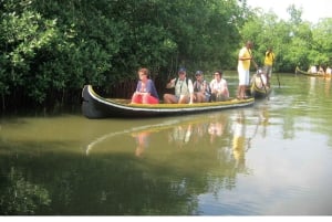 カルタヘナ：マングローブの森体験