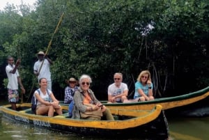 カルタヘナ：マングローブの森体験