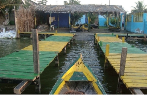 カルタヘナ：マングローブの森体験