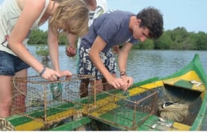 カルタヘナ：マングローブの森体験