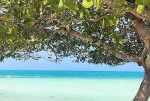 cartagena: Mucura and Santa Cruz Islands Tour spectacular