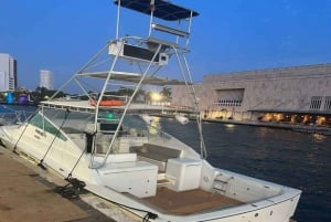 Carthagène : PartybayYacht avec open bar et DJ à bord !