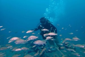 Cartagena: PADI DISCOVER SCUBA / MINICURSO DE BUCEO