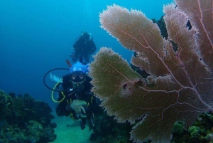 Cartagena: PADI DISCOVER SCUBA / MINICURSO DE BUCEO