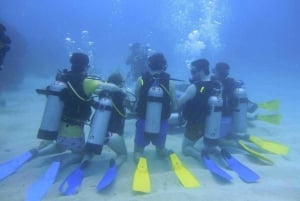 Cartagena: PADI Open Water Diver Course with Certification