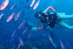 Cartagena: PADI Open Water Diver Course with Certification
