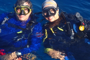 Cartagena: PADI Open Water Diver Course with Certification