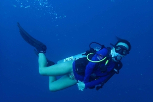 Cartagena: PADI Open Water Diver Course with Certification
