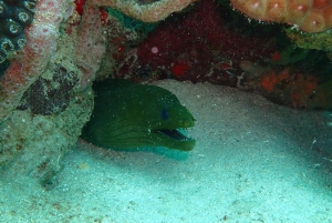 Cartagena: PADI Open Water Diver Course with Certification