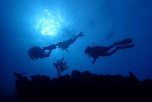 Cartagena: PADI Open Water Diver Course with Certification