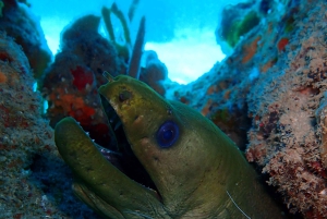 Cartagena: PADI Open Water Diver Course with Certification