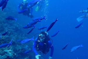 Cartagena: PADI Open Water Diver Course with Certification