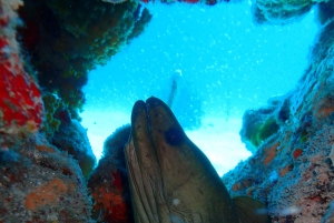 Cartagena: PADI Open Water Diver Course with Certification