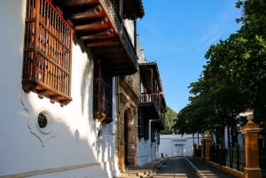 Частная экскурсия по Дворцу Инквизиции в Картахене с билетом