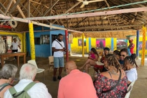 Cartagena:: Palenque´s tur, dansshow, lunch, upphämtning inkl.