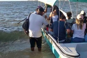 Carthagène : ÎLE DE PUNTARENA avec prise en charge à l'hôtel