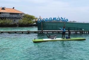 カルタヘナ：ランチとドリンク付き、パーソナルなカリブ海逃避行