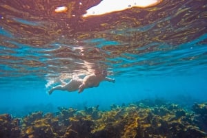 カルタヘナ：ランチとドリンク付き、パーソナルなカリブ海逃避行