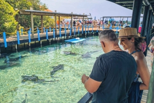 Cartagena: Personlig karibisk ferie med lunsj og drikke