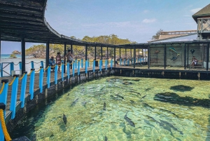 Cartagena: Personlig karibisk ferie med lunsj og drikke