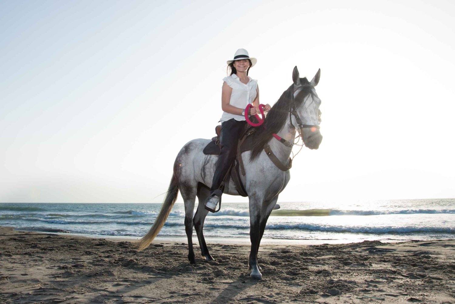 Cartagena: Photo session on horseback