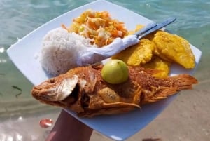 Cartagena: Playa Blanca BARU per speedboot met lunch