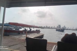 Cartagena: Playa Blanca BARU per speedboot met lunch