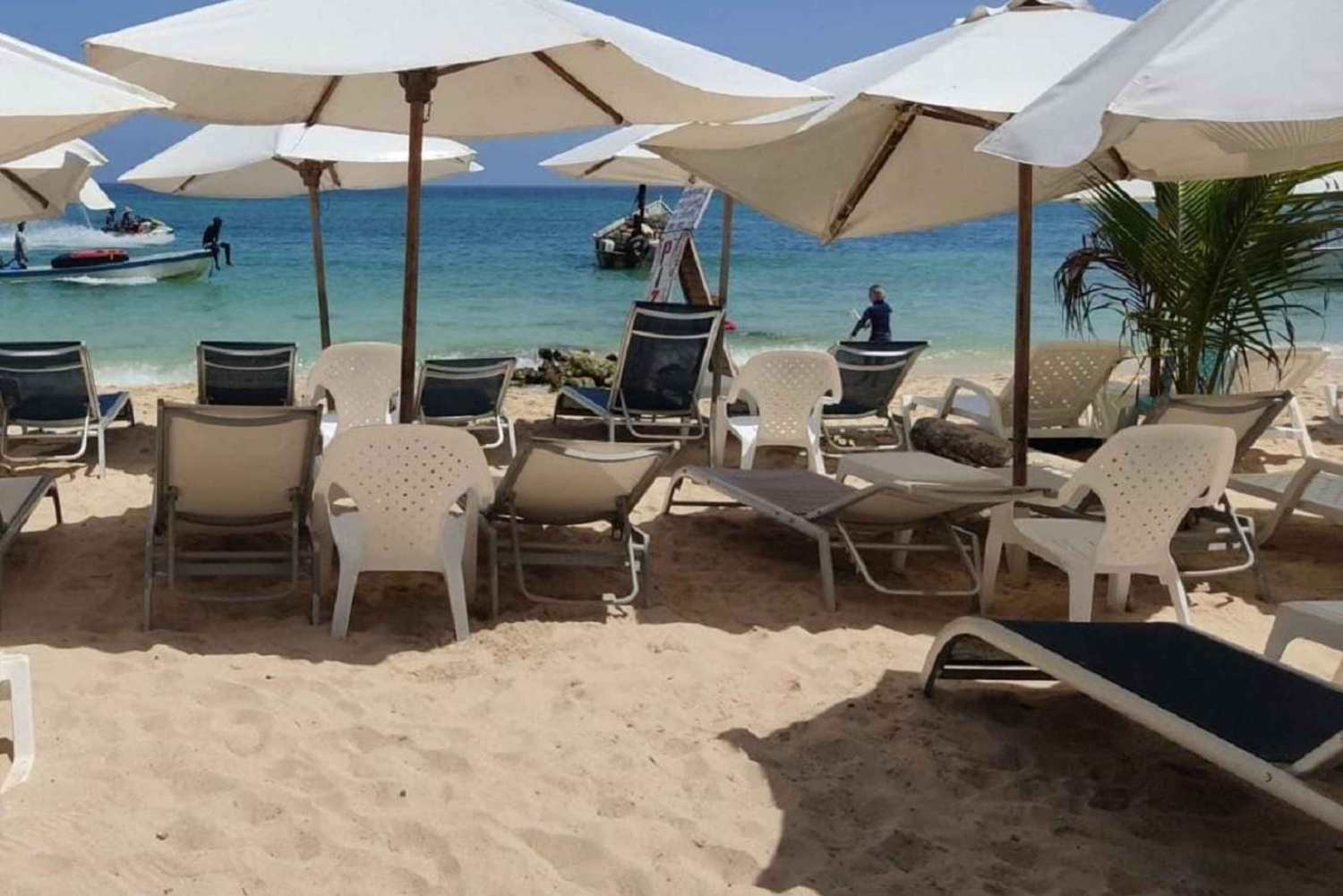 Cartagena: Playa Tranquila ALL INCLUSIVE + caçarola de frutos do mar