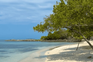 Cartagena: passe de um dia para a praia privada SABAI