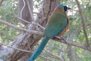 Cartagena: Tour privado de observación de aves con desayuno