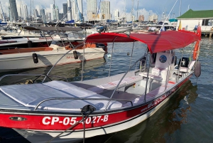 Cartagena: private boat to Rosario Islands and Baru
