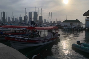 Cartagena: privat båd til Rosario og Baru-øerne