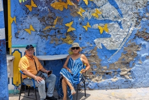 Cartagena: Privat byrundvisning i et køretøj med aircondition